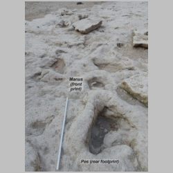 DSCN0553 Labeled.jpg